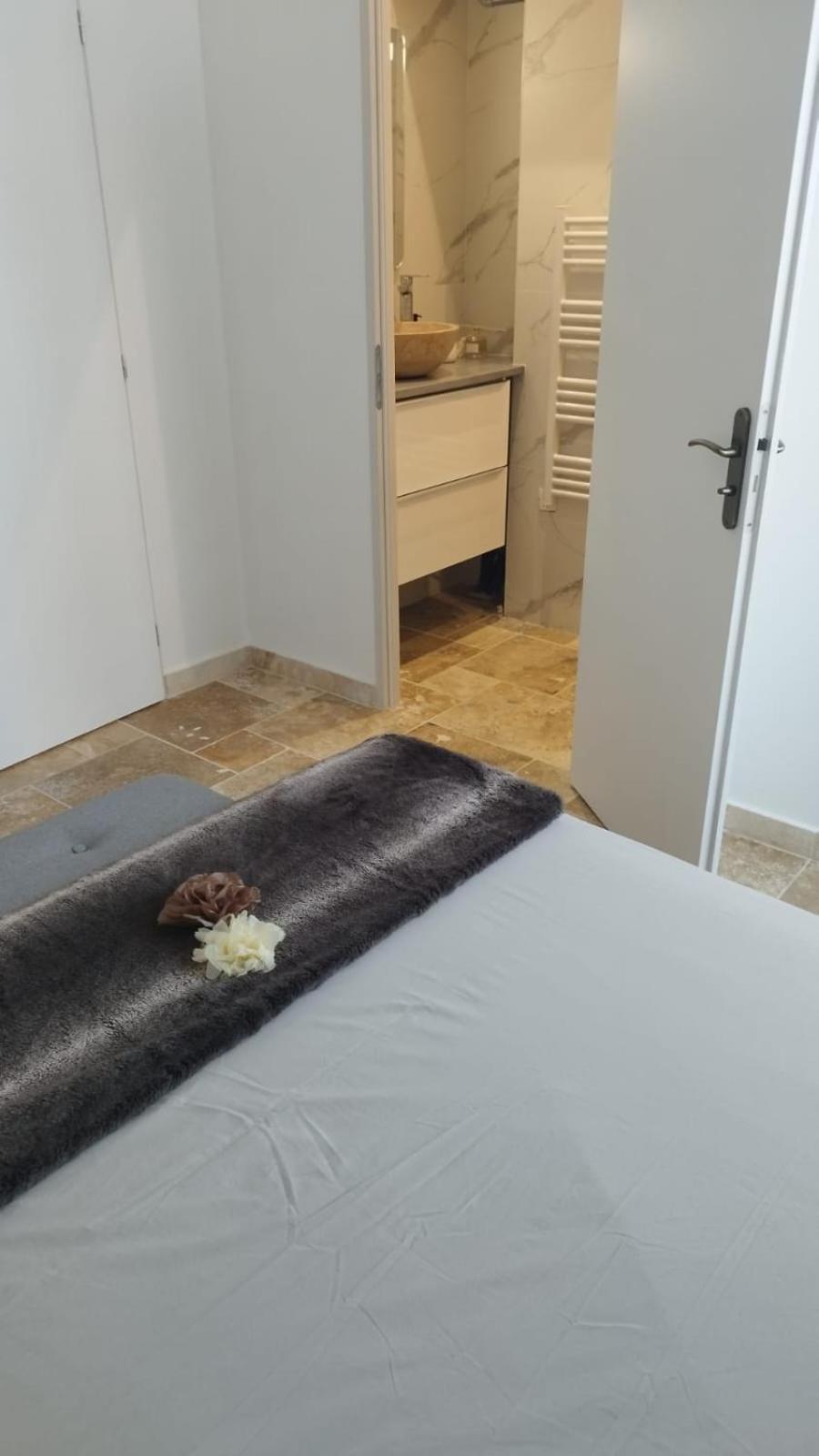 Appartement Lumineux En Rdc Bourgoin-Jallieu Exterior photo